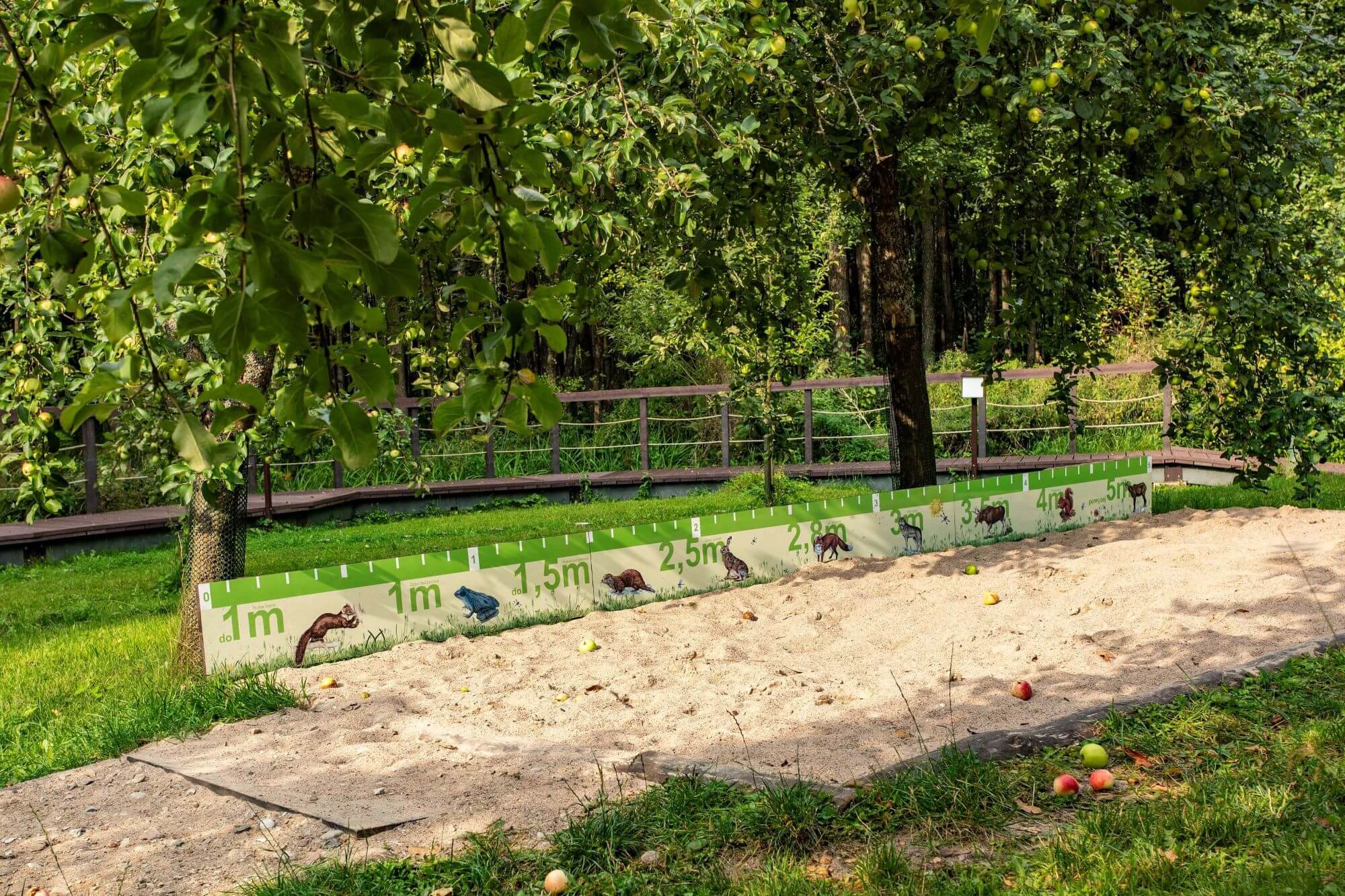 Edukacyjna skocznia do skoku w dal