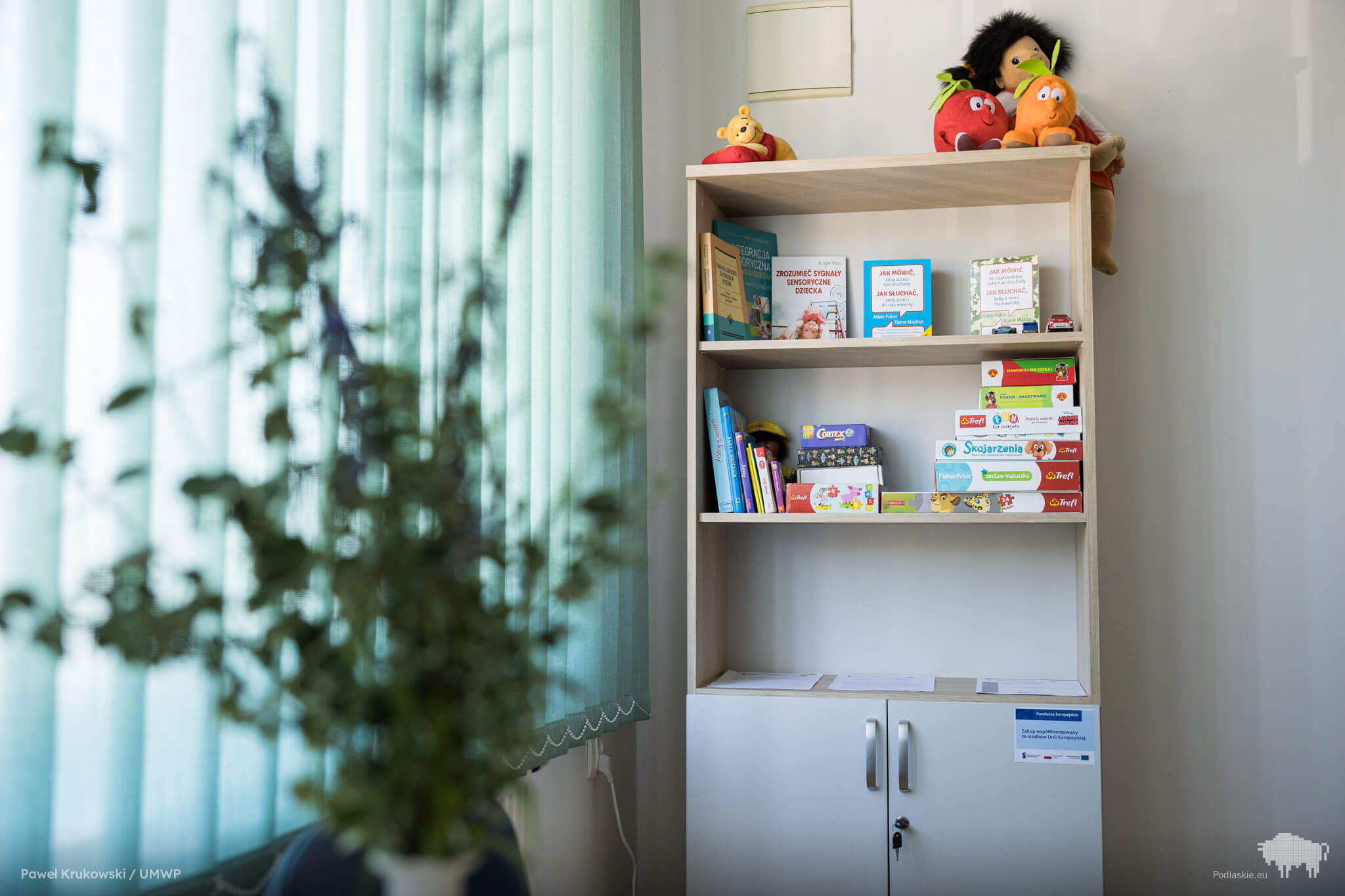 Szafa z książkami i grami edukacyjnymi