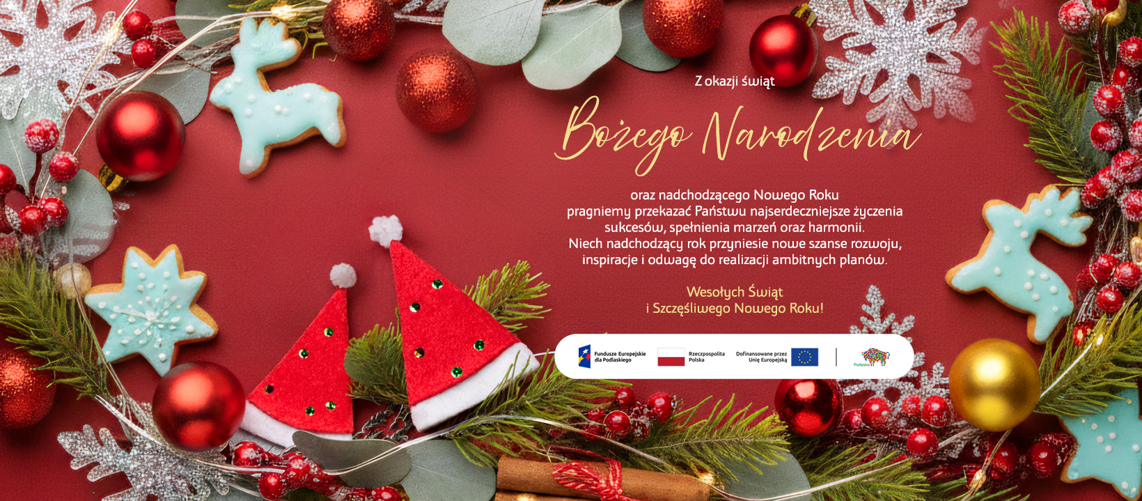 Baner z życzeniami świątecznymi od IZ FEdP