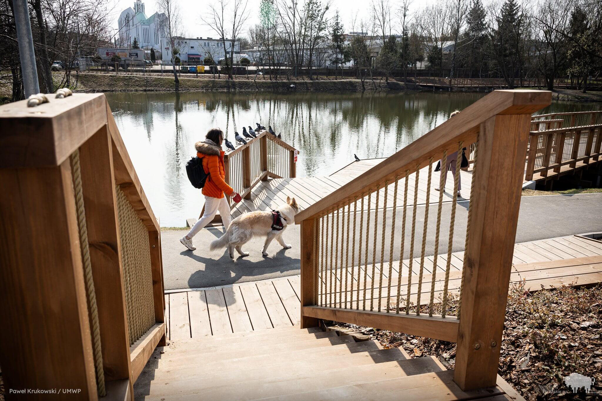 Osoba na spacerze z psem przechodzi obok drewnianej kładki nad stawem