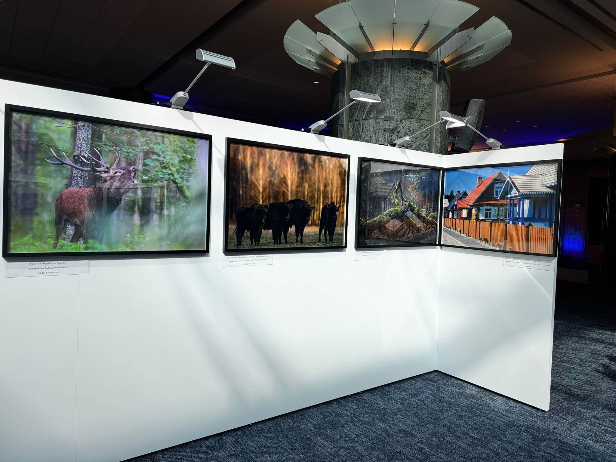 Wystawa zdjęć krajobrazów regiony