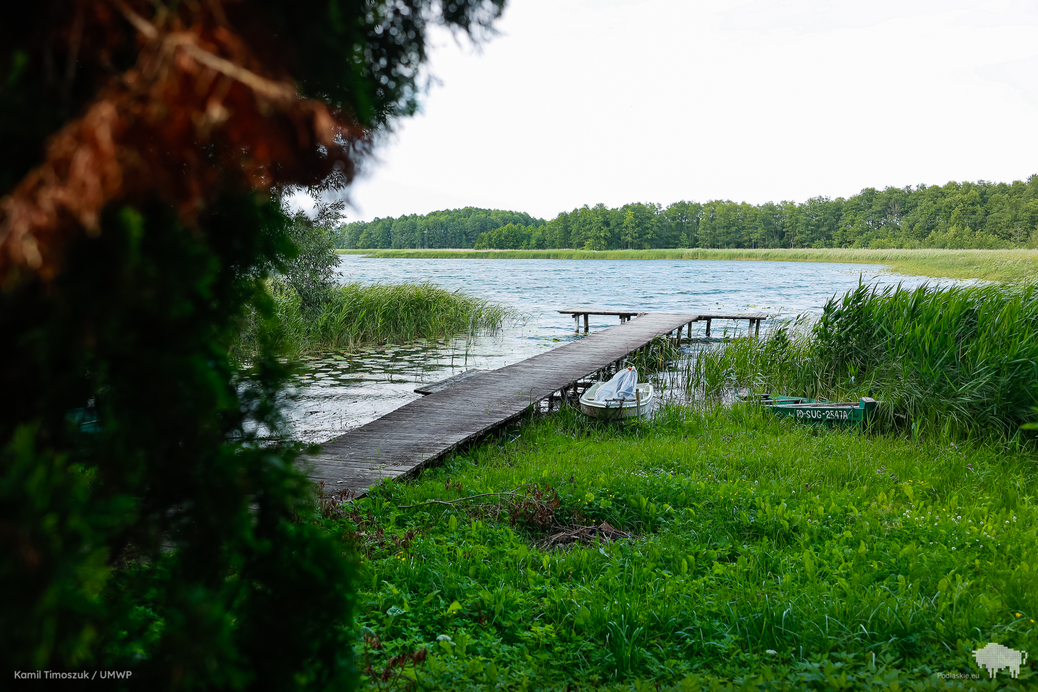 Pomost wychodzący na jezioro